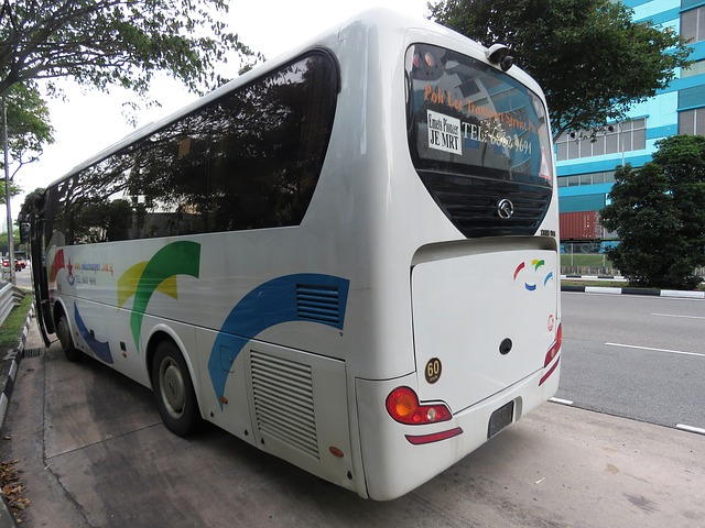 Kluczowe cechy busów oferowanych przez wypożyczalnie