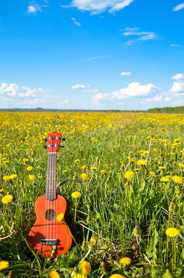 Najciekawsze modele ukulele: co oferują nowoczesne marki?