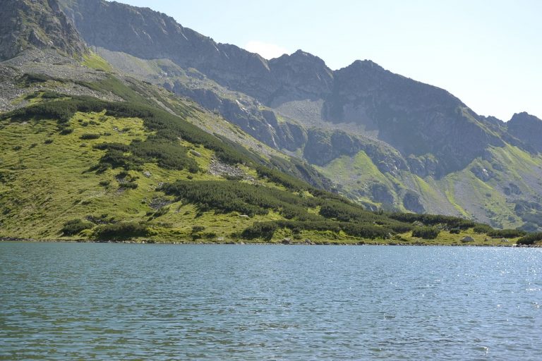 Zakopane – noclegi dla miłośników przyrody i górskich widoków Zakopane – serce tatr i popularna destynacja turystyczna